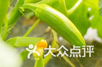 喜源灶具日用雜品超市 美食與日用品的奇妙交匯，探索周邊好滋味